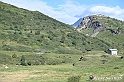VBS_1 -  Plateau du Mont-Cenise, Grand Croix, Marmotte_-_0052 mt